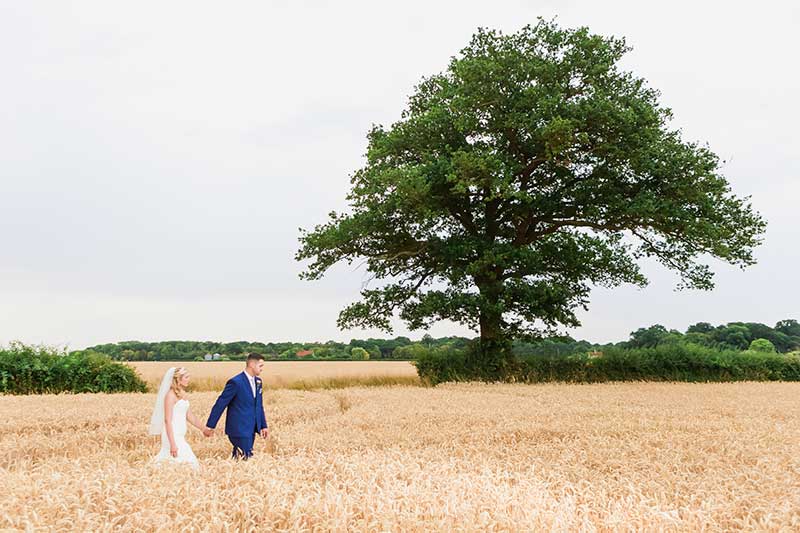 Bride and Groom in the Cornfield