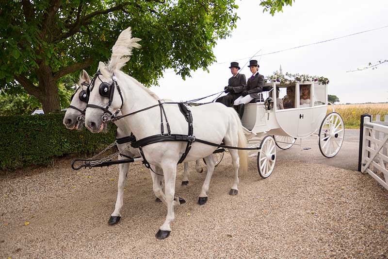 Wedding Horse Drawn Carriage