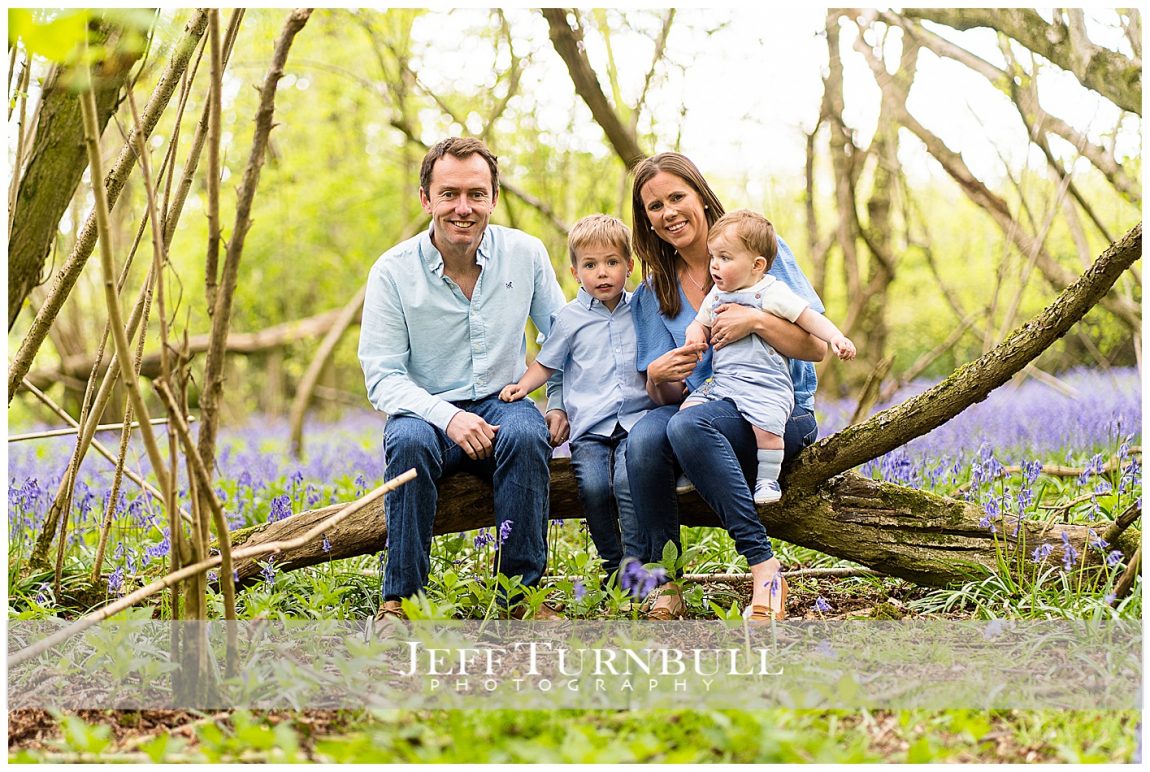 Bluebells family Portraits Essex