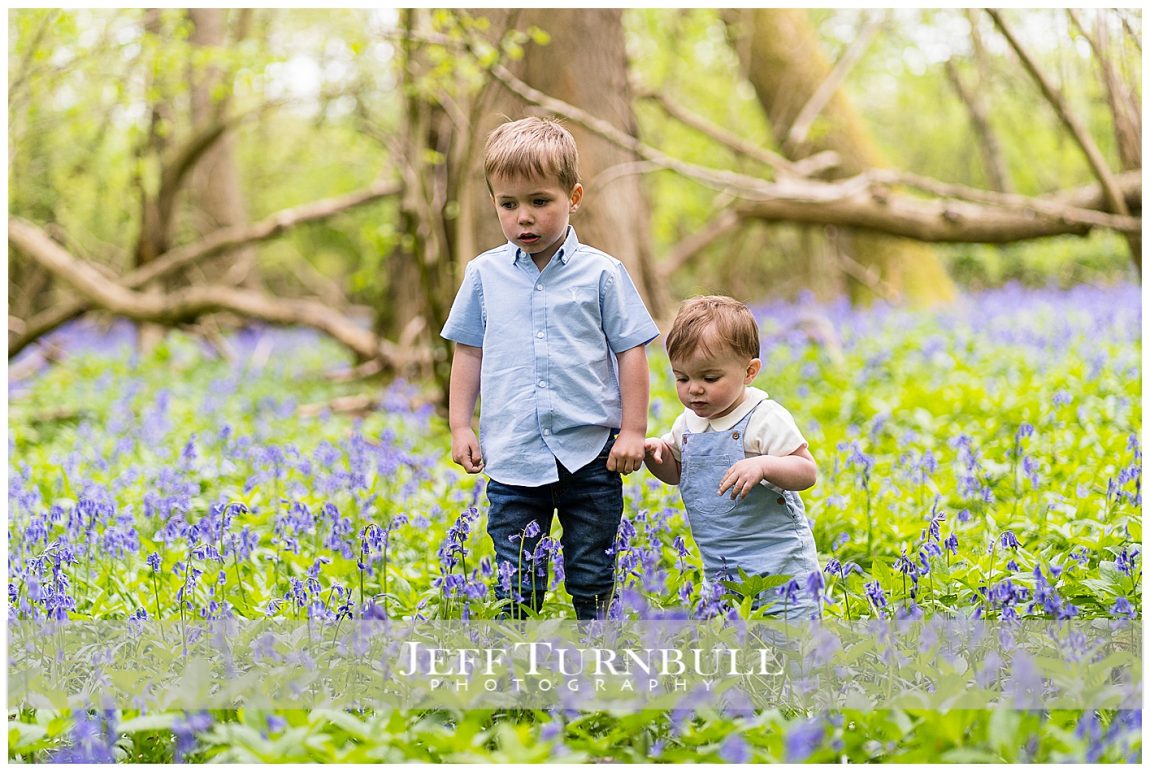 Bluebells Family Portraits Suffolk