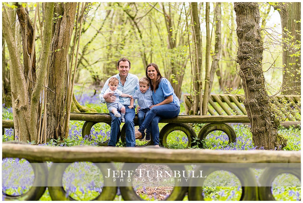 Rape Field and Bluebell Wood Portraits Suffolk