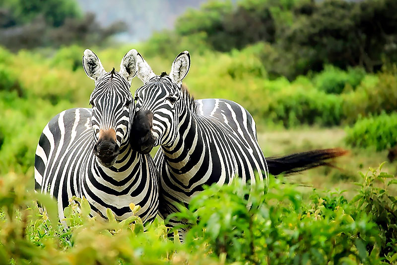 Suffolk Photography Training