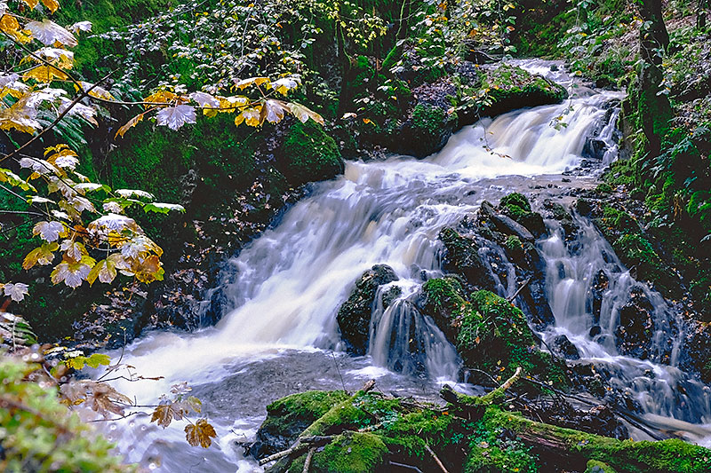 Essex Photography Courses